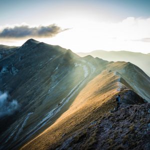 Premium Custom Training Plan